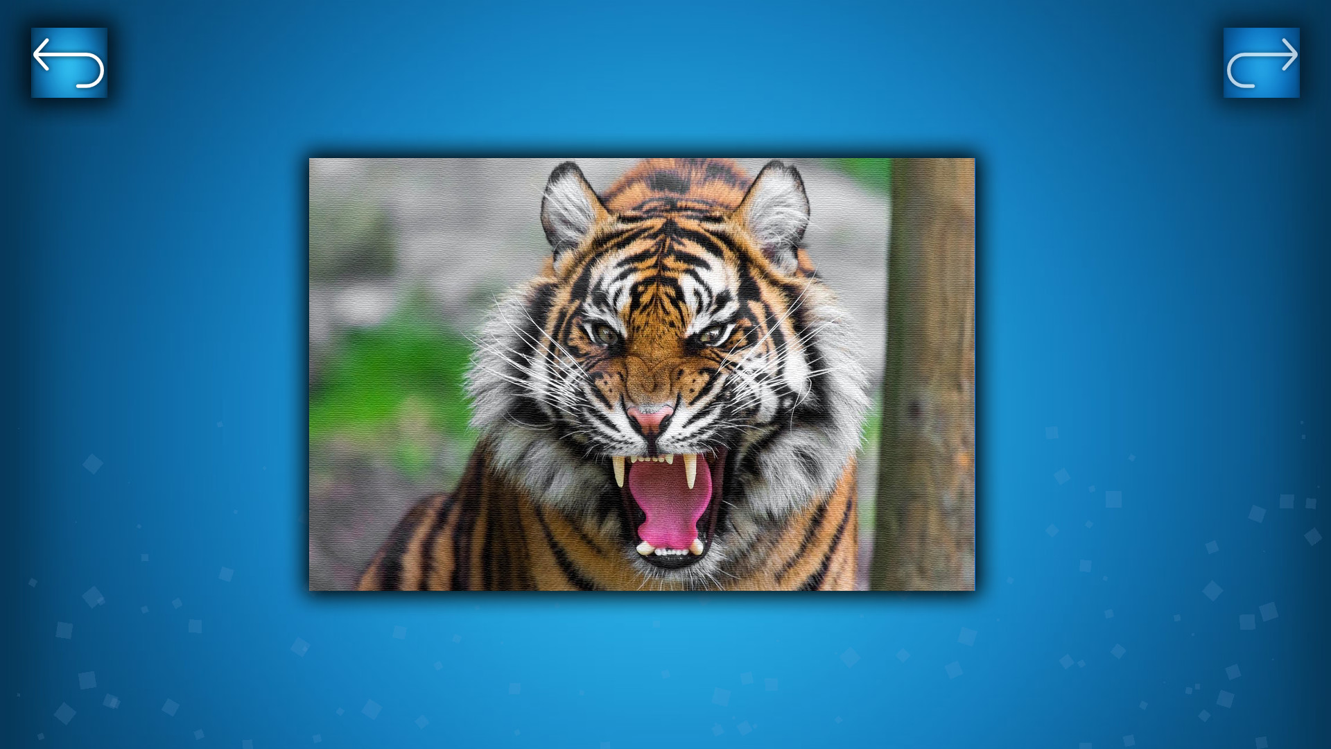 PUZZLE: ANIMALS official in-game screenshot 1