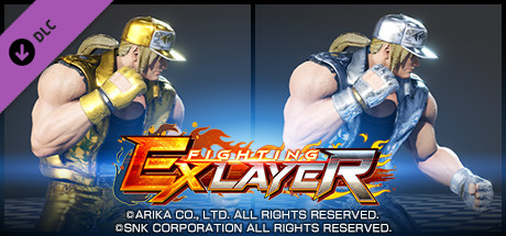 FIGHTING EX LAYER - Color Gold/Silver: Terry cover artwork