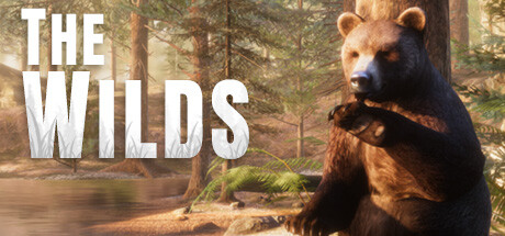 The WILDS cover artwork