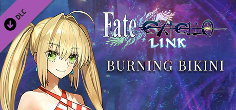 Fate/EXTELLA LINK - Burning Bikini cover artwork