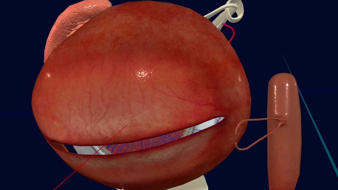 眼睛(眼球)结构研究 official in-game screenshot 1