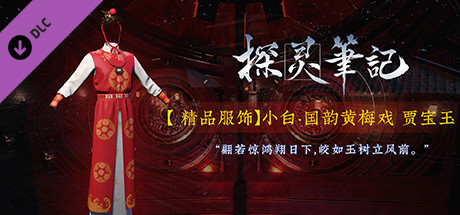 探灵笔记-小白·国韵黄梅戏 贾宝玉 cover artwork