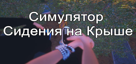 Симулятор Сидения на Крыше cover artwork