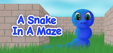 A Snake In A Maze cover artwork