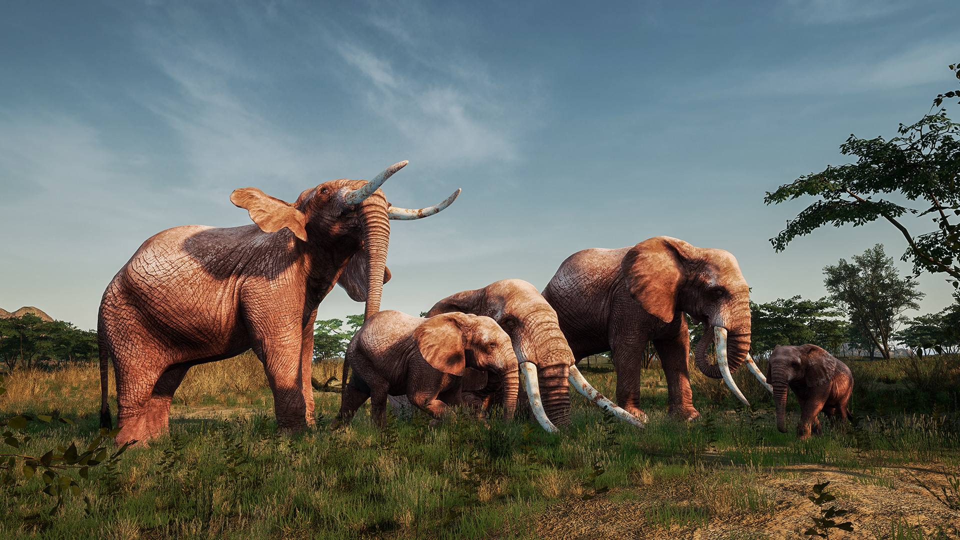 Animalia New African Skins official in-game screenshot 1