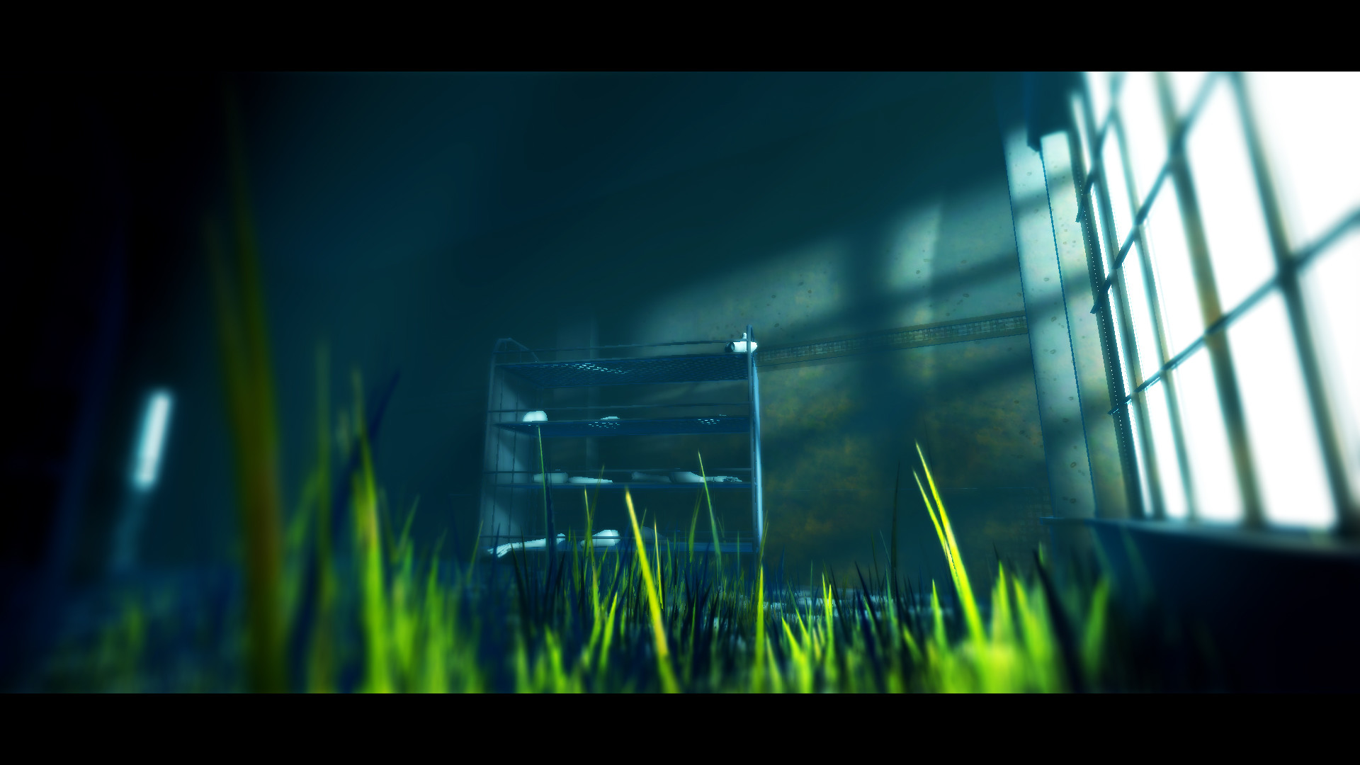 Acanthoceras official in-game screenshot 1