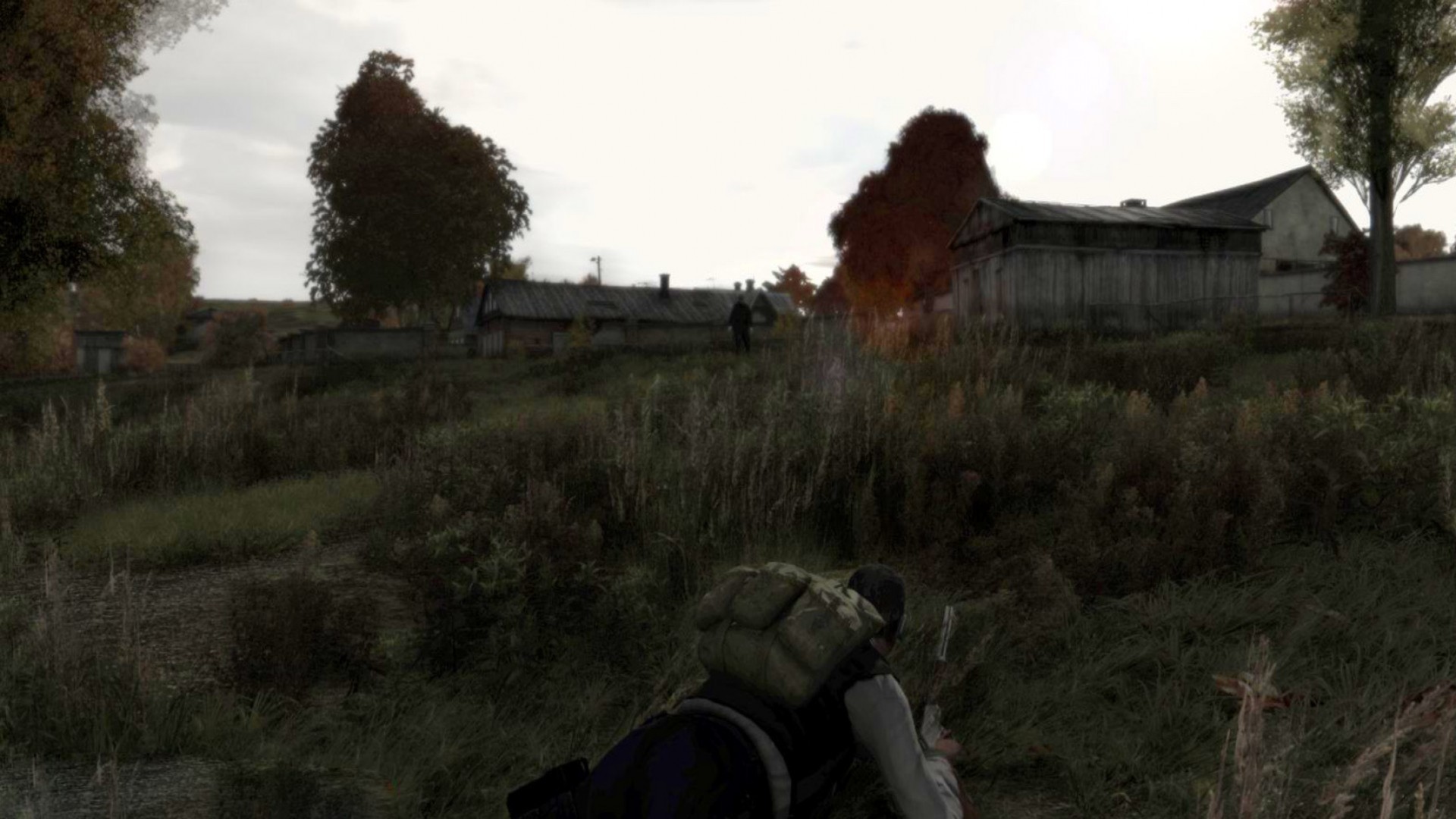 Arma 2: DayZ Mod official in-game screenshot 1