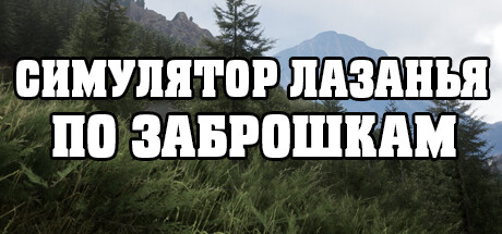 СИМУЛЯТОР ЛАЗАНЬЯ ПО ЗАБРОШКАМ cover artwork