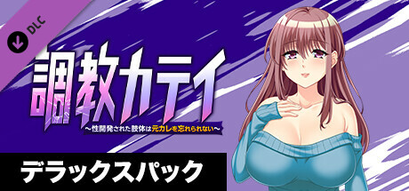 調教カテイ~性開発された肢体は元カレを忘れられない~ デラックスパック artwork