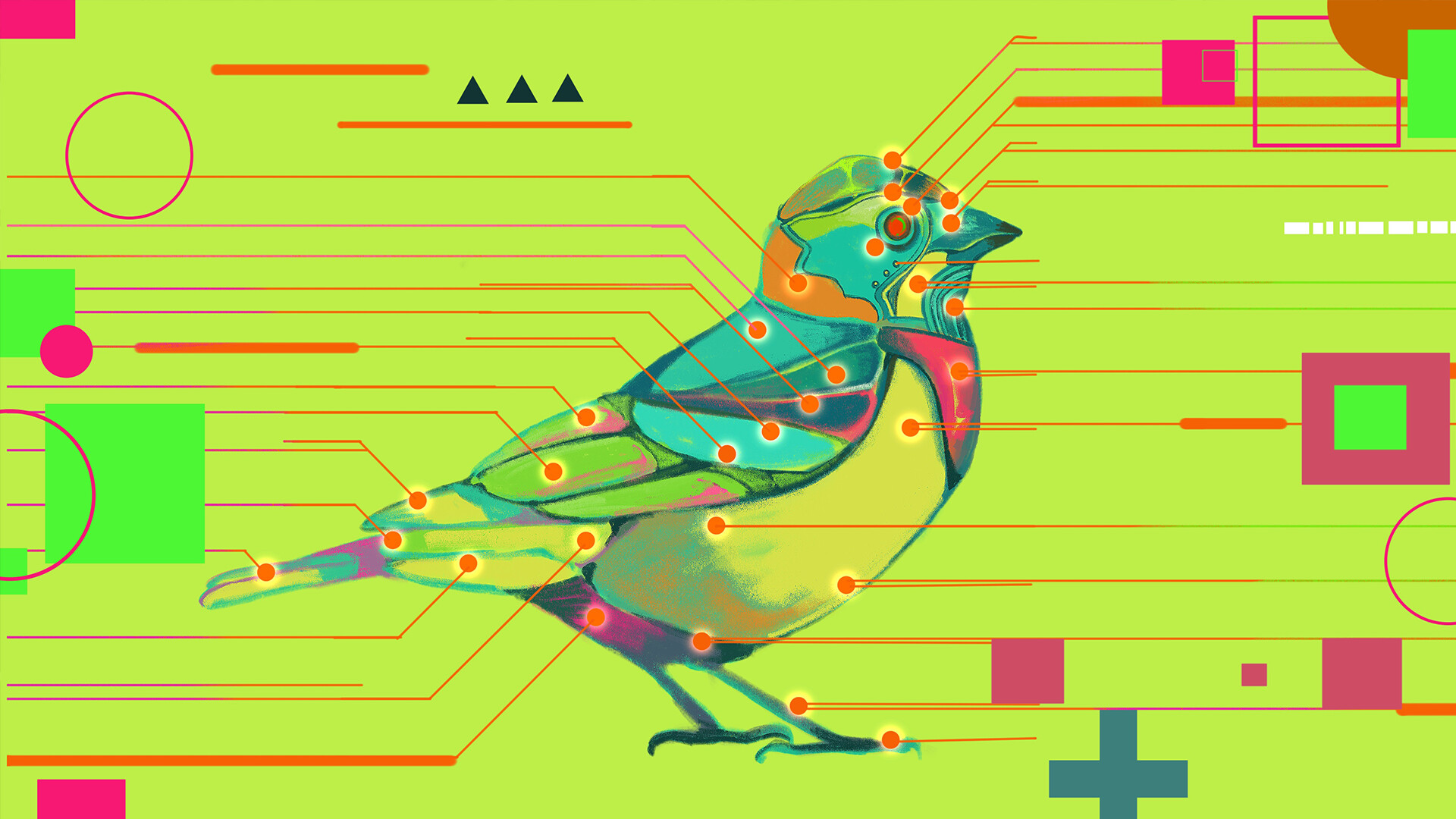 Avian Enigma official in-game screenshot 1