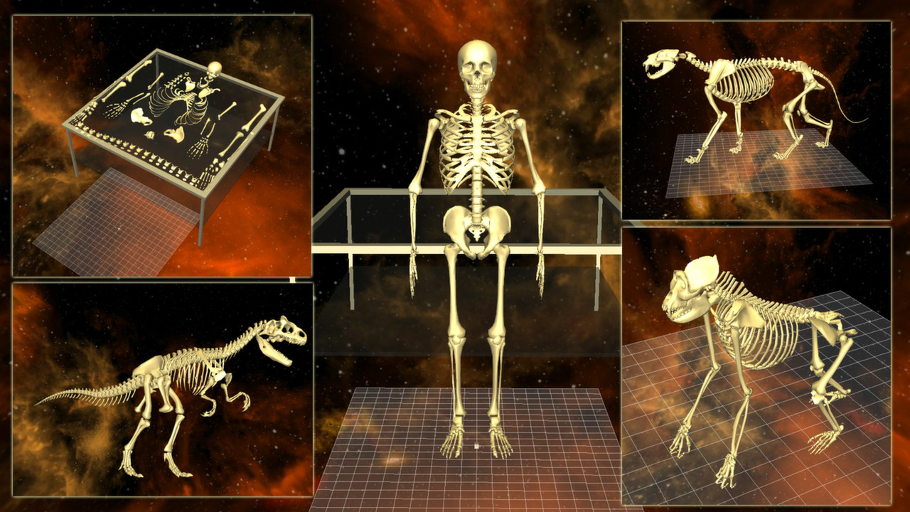 World of Guns: 5 Skeletons Pack official in-game screenshot 1