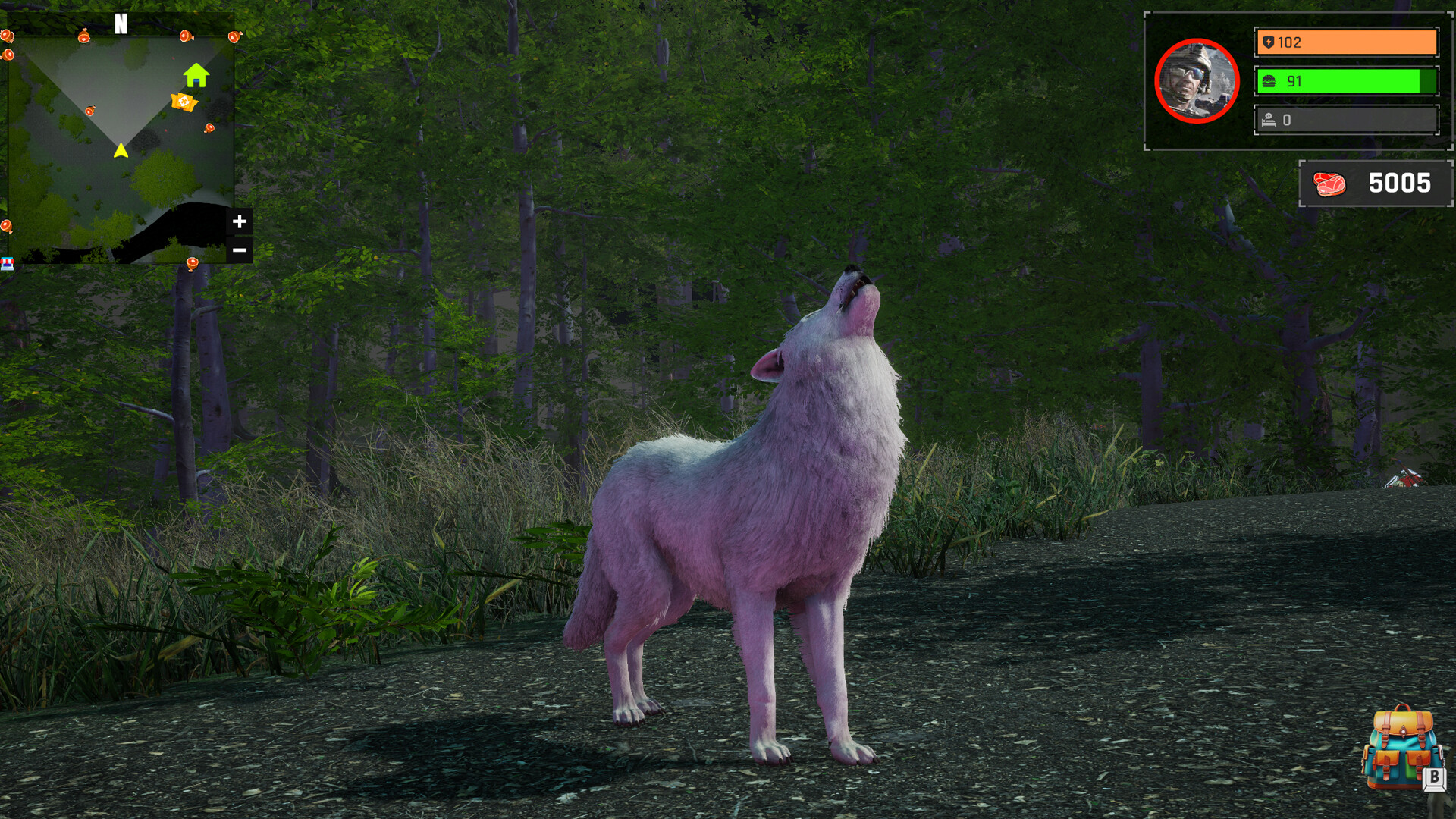 Wolf Simulator: Silent Paws official in-game screenshot 1