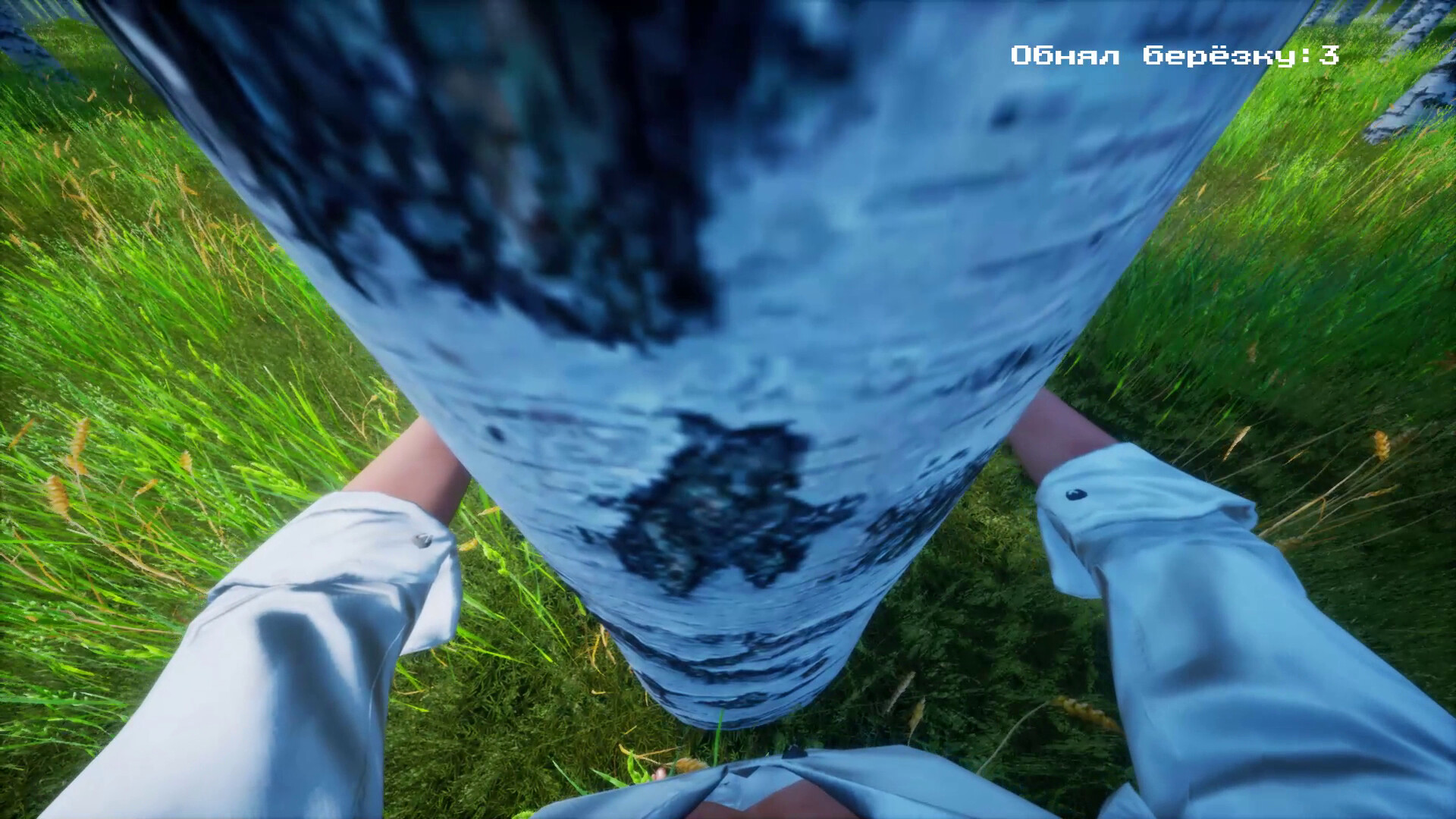 Симулятор Обнимания Берёзы official in-game screenshot 1