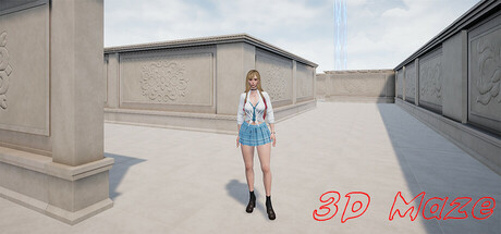 3D Maze cover artwork