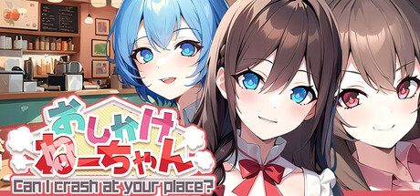 おしかけねーちゃん Can I crash at your place? cover artwork