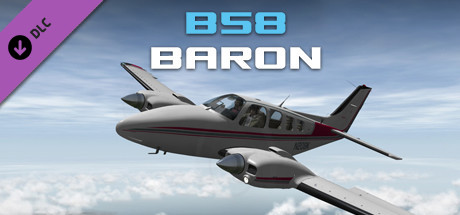 X-Plane 10 AddOn - Carenado - B58 Baron artwork