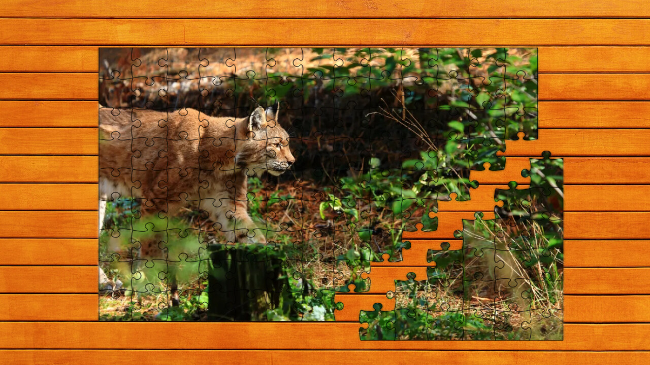 Wild Lynx Jigsaw official in-game screenshot 1