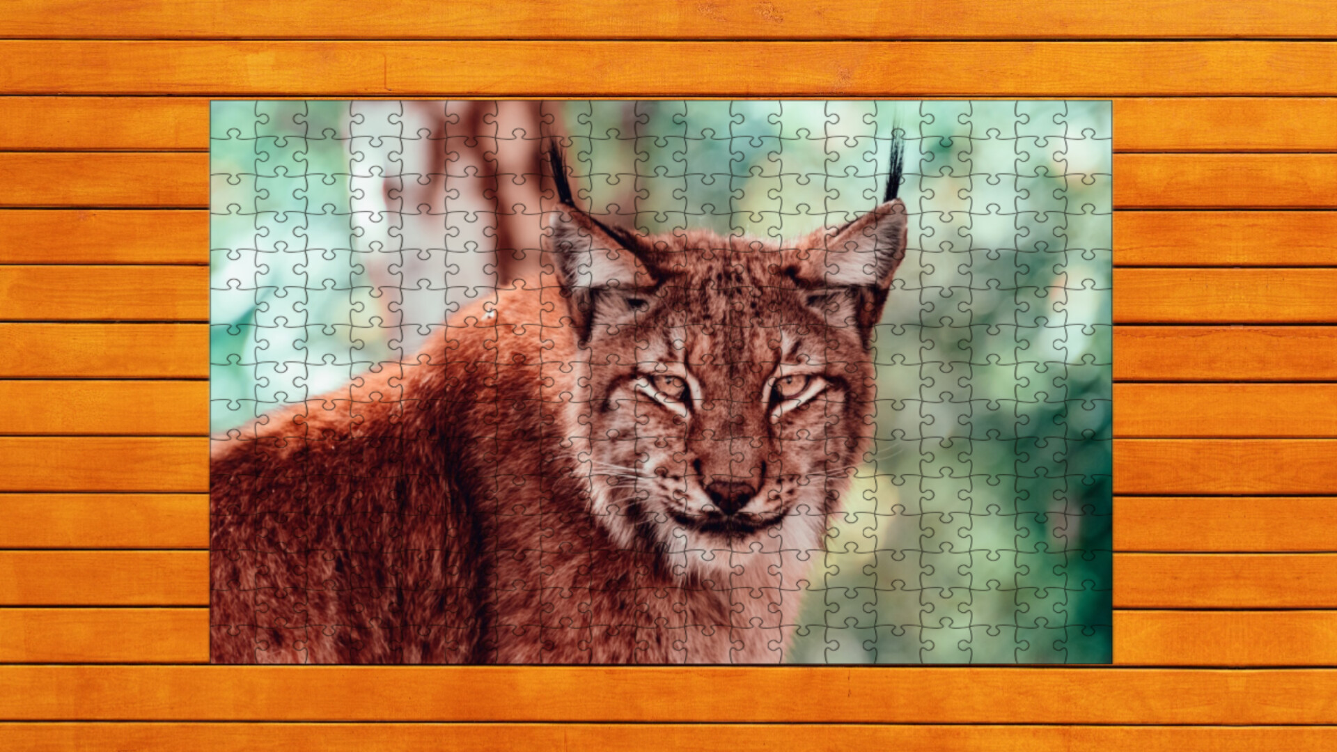 Wild Lynx Jigsaw - Expansion Pack 1 official in-game screenshot 1