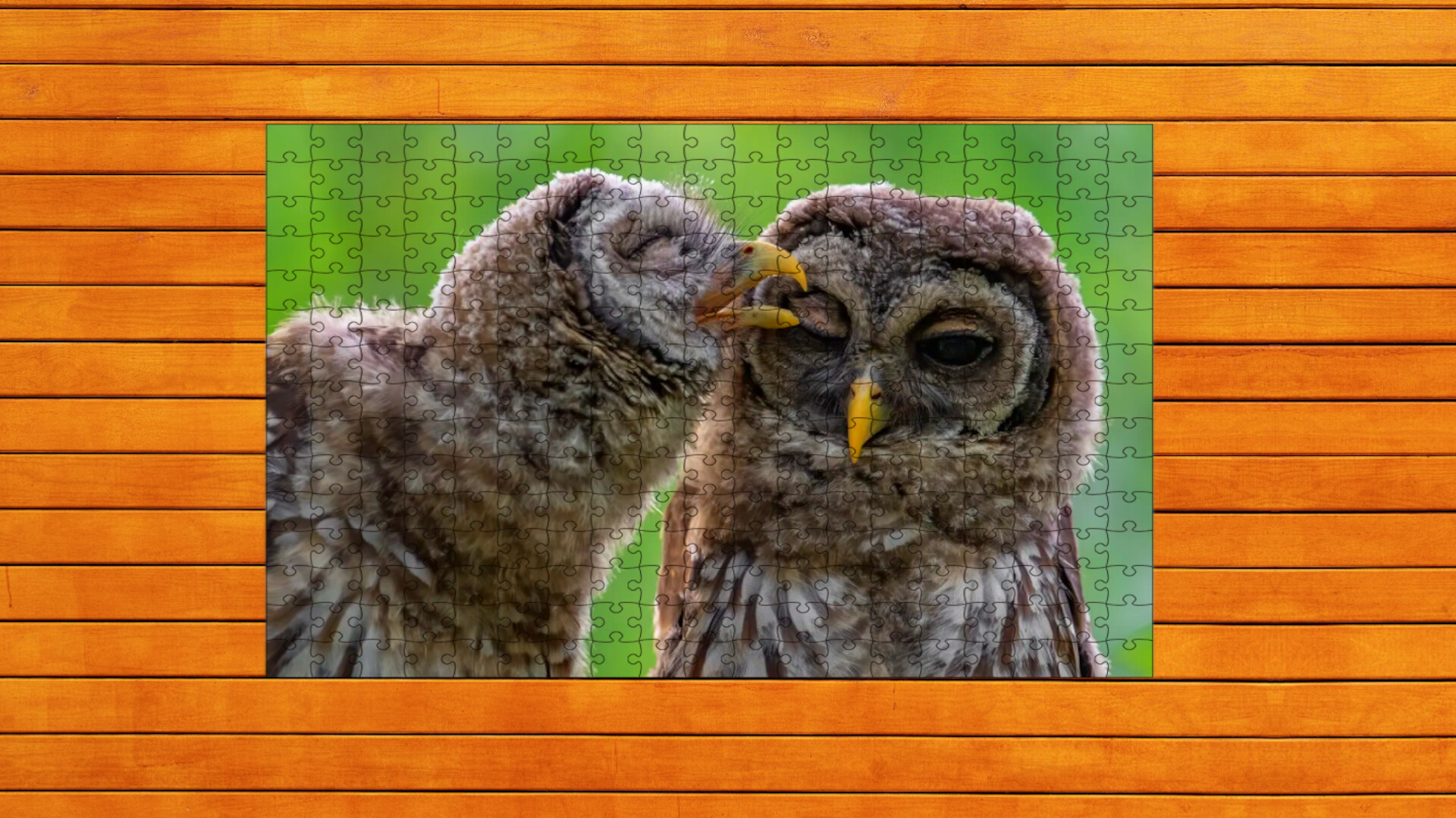 Whispers of Wings Jigsaw Puzzles - Expansion Pack 4 official in-game screenshot 1