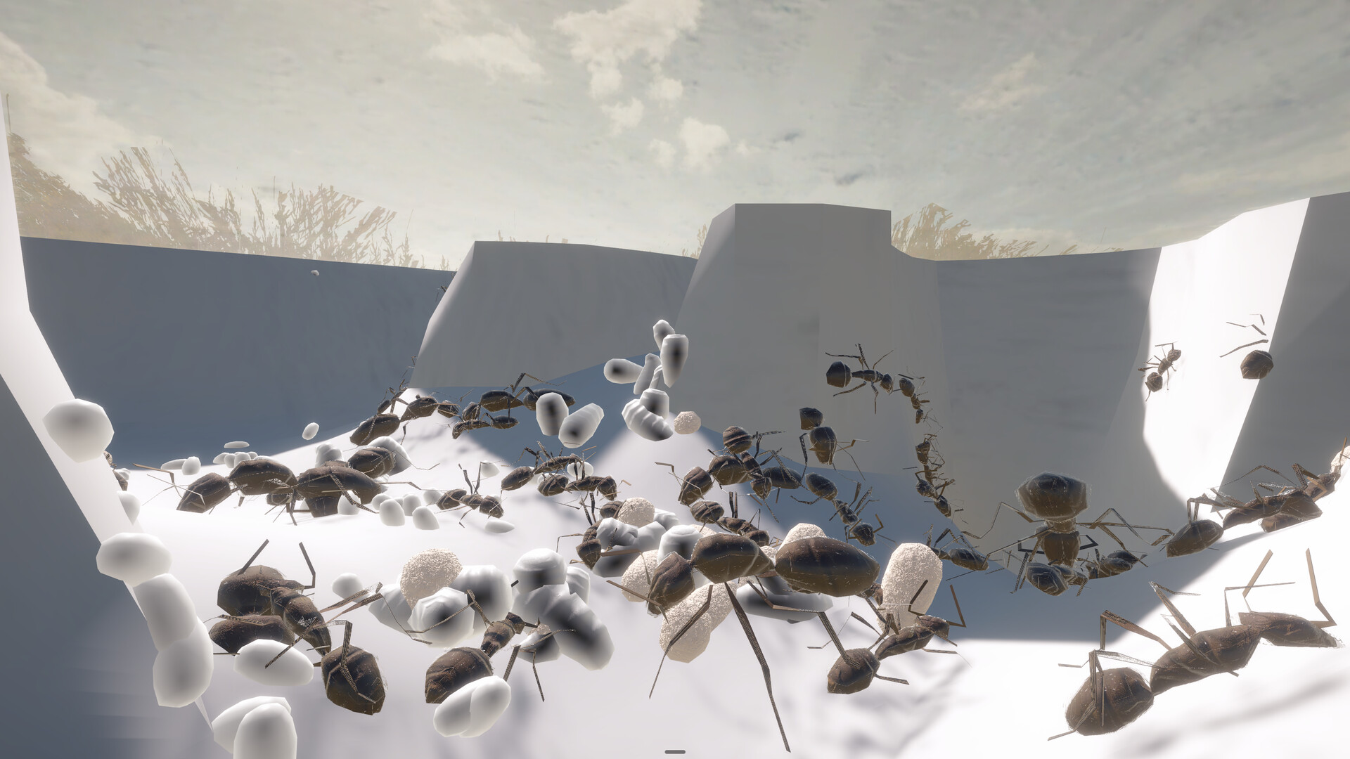 Ant Keeping Simulator - Species Pack 1 official in-game screenshot 1
