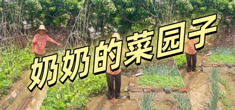 奶奶的菜园 cover artwork