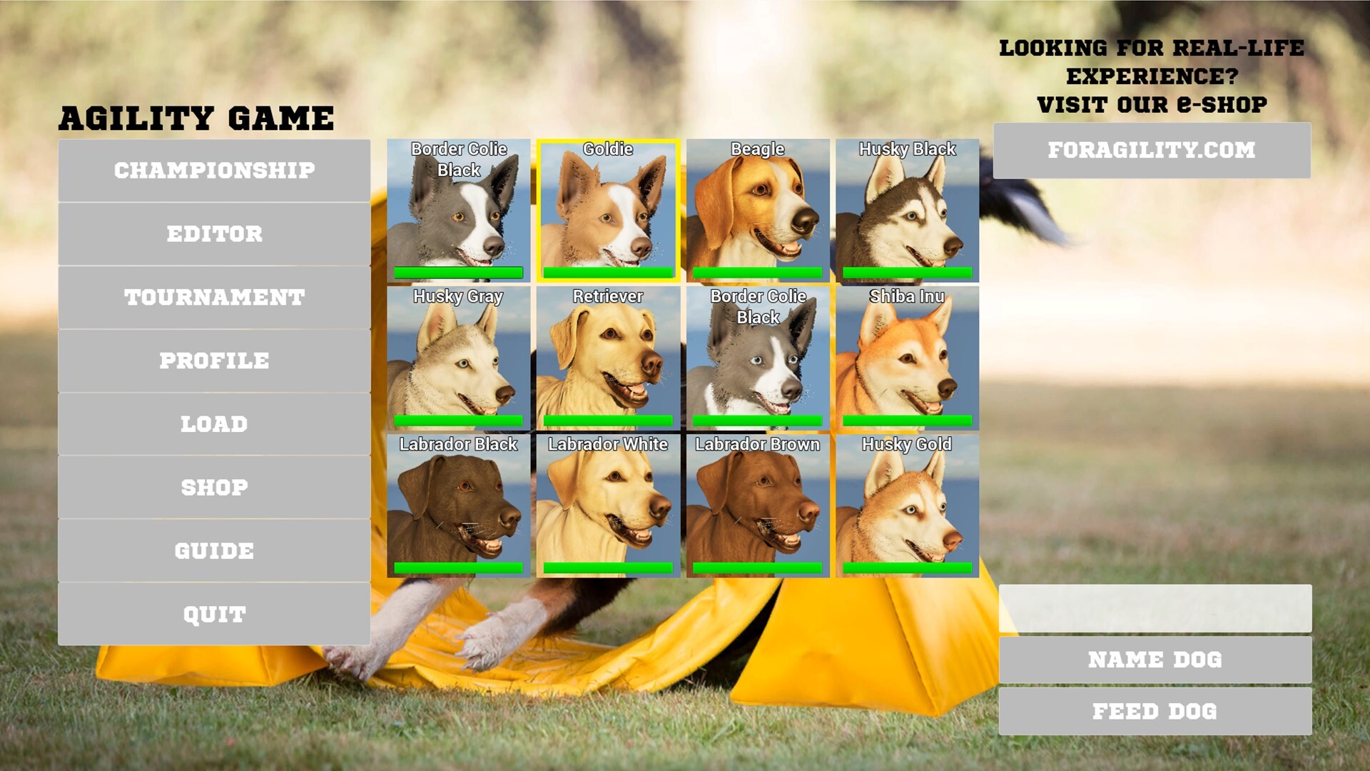Agility Game official in-game screenshot 1