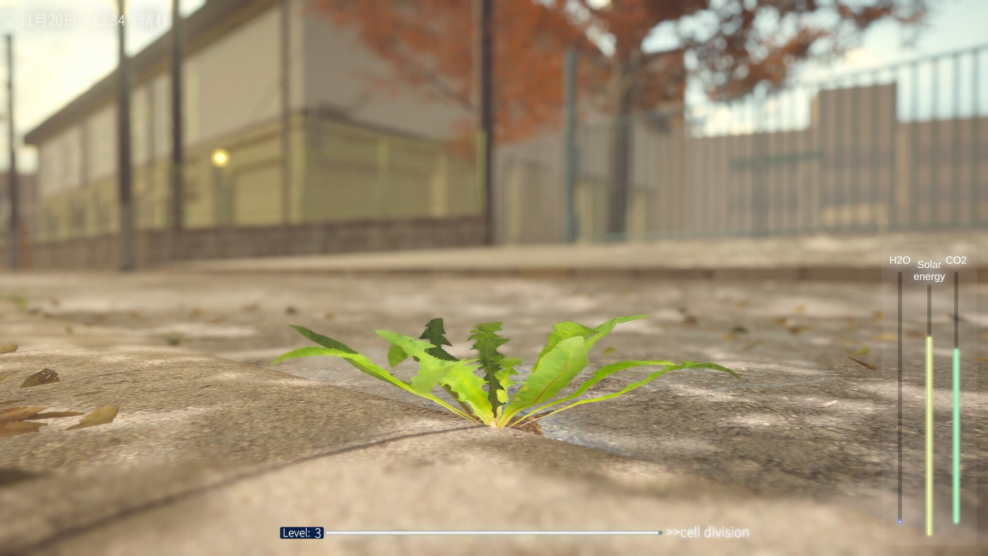 タンポポは耐える。 official in-game screenshot 1