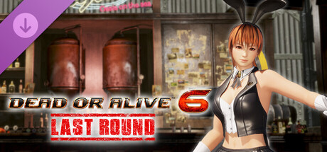 [Revival] Sexy Bunny Costume - Kasumi cover artwork
