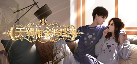 天朝相亲图鉴 cover artwork