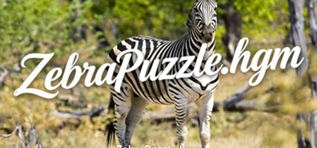 ZebraPuzzle.hgm cover artwork