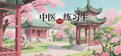 中医模拟练习生 cover artwork