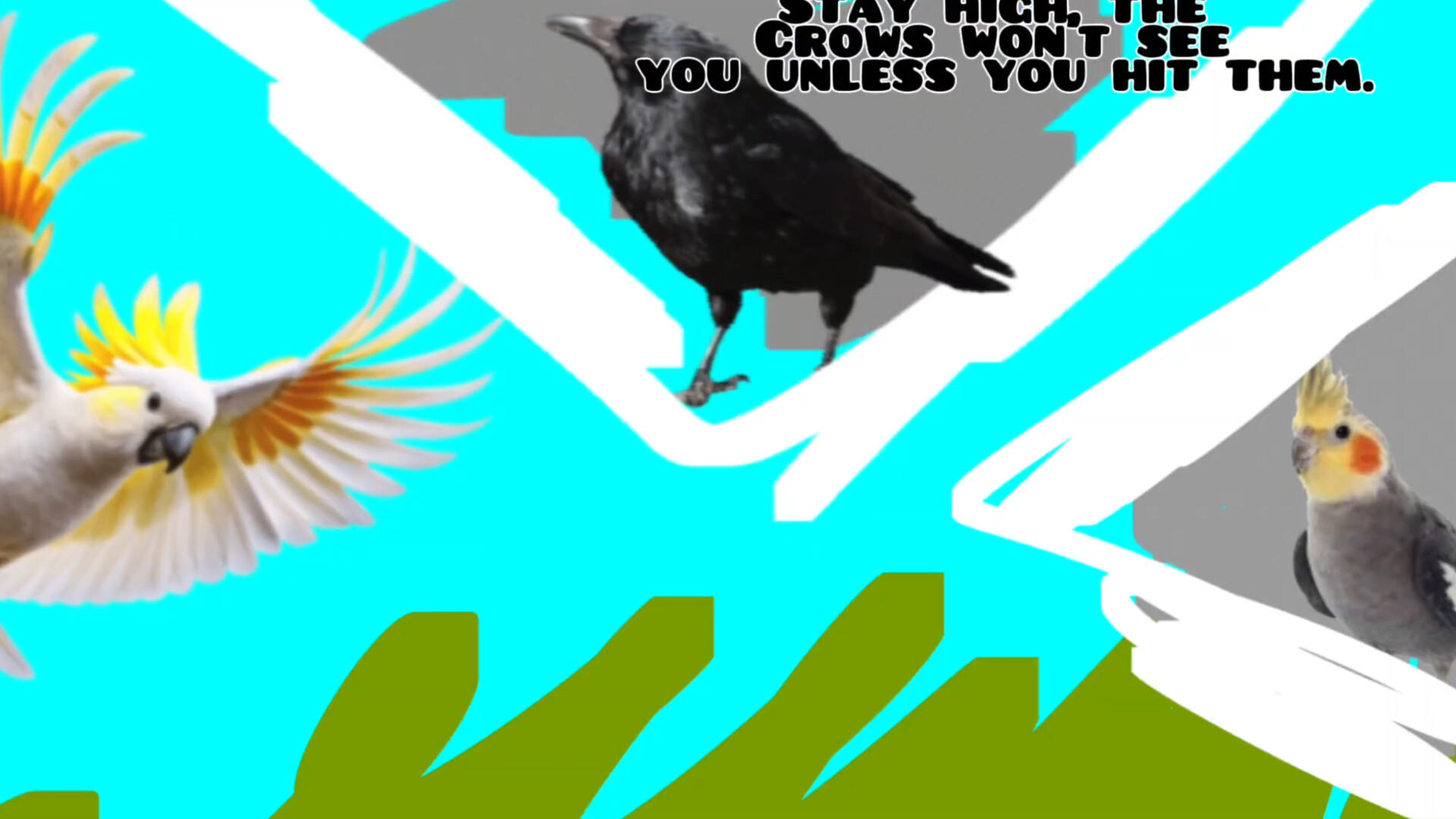 Andy Runner - Cockatoo Fluff-Up official in-game screenshot 1