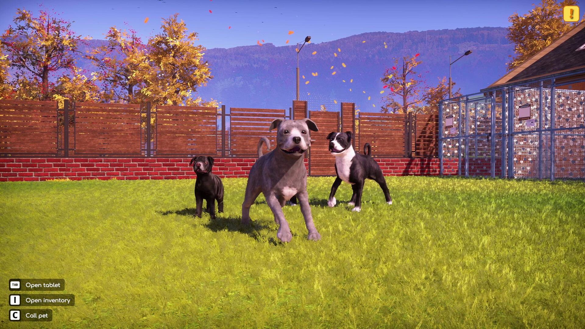 Animal Shelter 2 - Bull-Type Terriers Dogs Pack official in-game screenshot 1