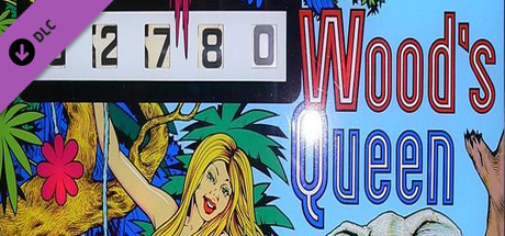 Zaccaria Pinball - Wood's Queen Table cover artwork