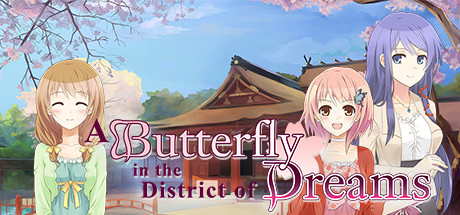 A Butterfly in the District of Dreams cover artwork
