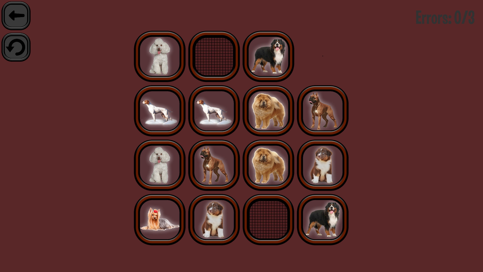 Animals Memory: Dogs official in-game screenshot 1