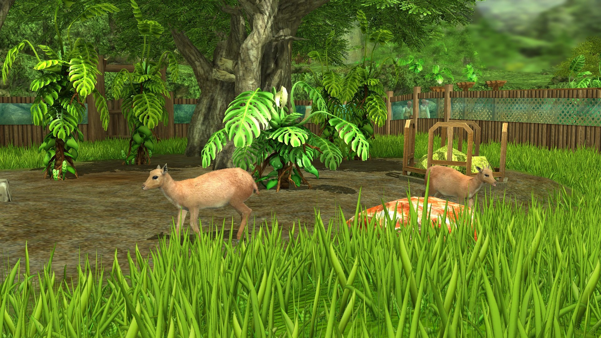 Wildlife Park 3 - Amazonas official in-game screenshot 1