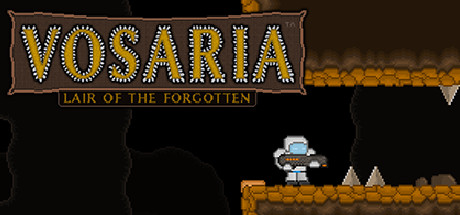 Vosaria: Lair of the Forgotten cover artwork