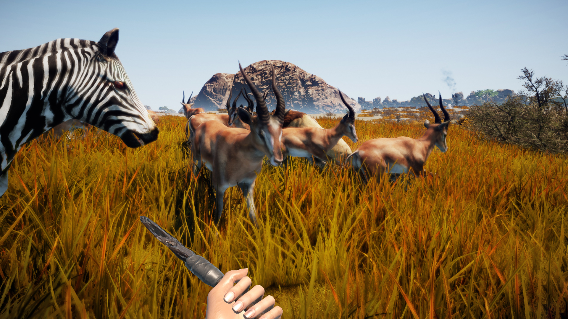 Animallica - Soundtrack official in-game screenshot 1