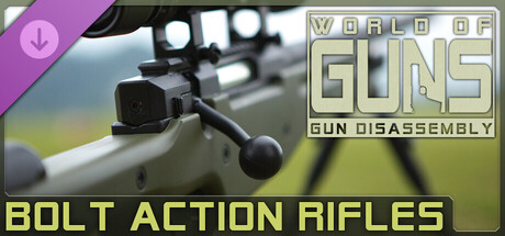 World of Guns: Bolt Action Rifles Pack #1 cover artwork
