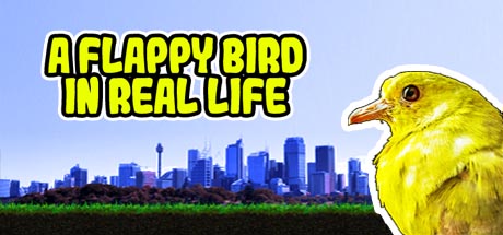A Flappy Bird in Real Life cover artwork