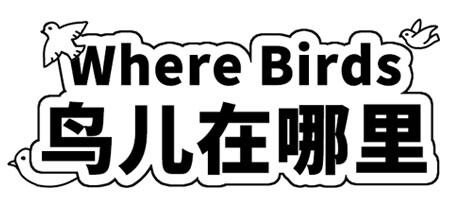 Where Birds 鸟儿在哪里 cover artwork